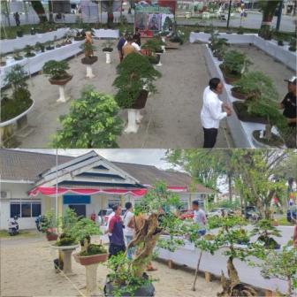 PAMERAN DAN BURSA BONSAI KAB. LUWU UTARA DALAM RANGKA HUT RI KE-77 
